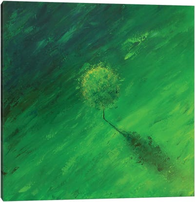 Solitary Tree Canvas Art Print - Alessandro Piras