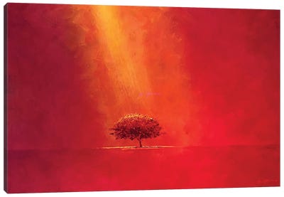 Tree On Red Canvas Art Print - Alessandro Piras