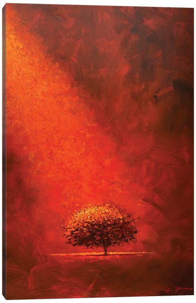 Big Red Canvas Art Print - Alessandro Piras