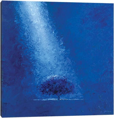 Blue Canvas Art Print