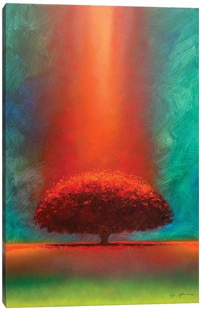 Cosmis Tree Canvas Art Print - Alessandro Piras