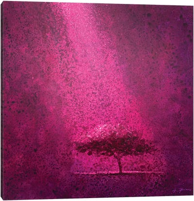 Deep Violet Canvas Art Print - Alessandro Piras