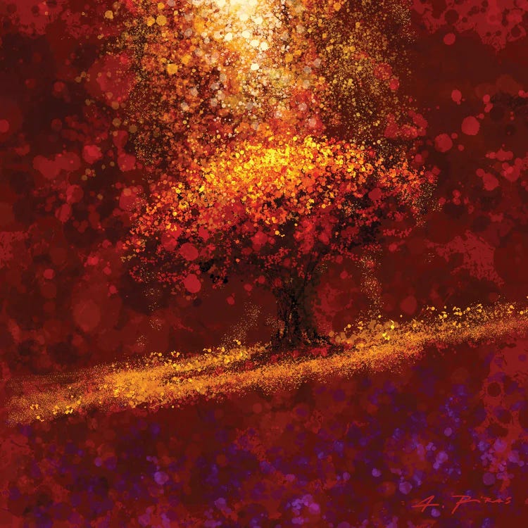 Dreaming The Tree
