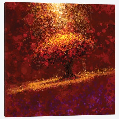 Dreaming The Tree Canvas Print #AEP9} by Alessandro Piras Canvas Wall Art