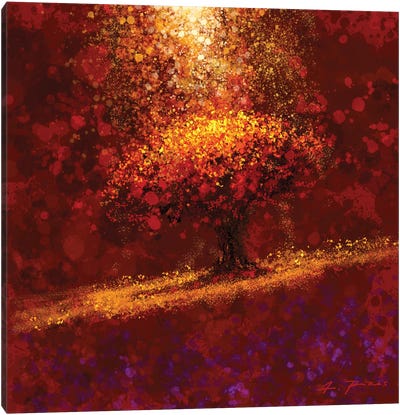 Dreaming The Tree Canvas Art Print - Alessandro Piras