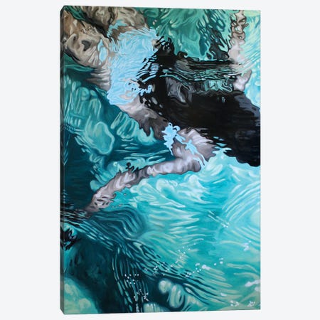 Ocean Dream Canvas Print #AER37} by Amanda Cameron Art Print
