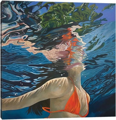 Dream Of Summer Canvas Art Print - Swimming Art