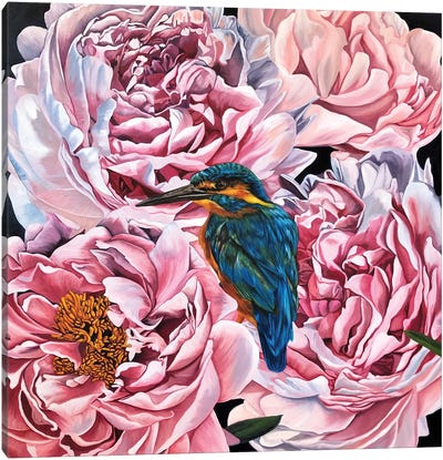 Spring Rhapsody Canvas Art Print - Kingfishers