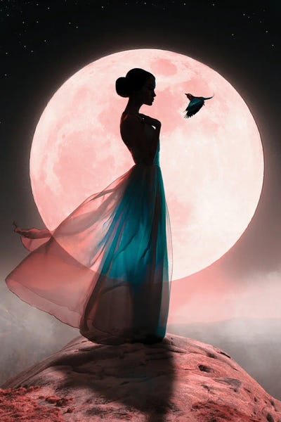 Moon Fairy by Abdullah Evindar acrylic art print