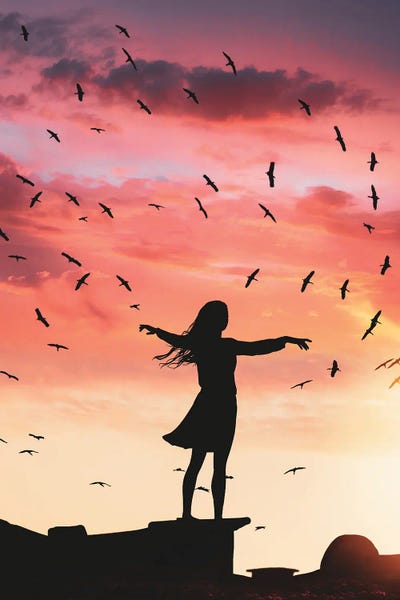 Fly
