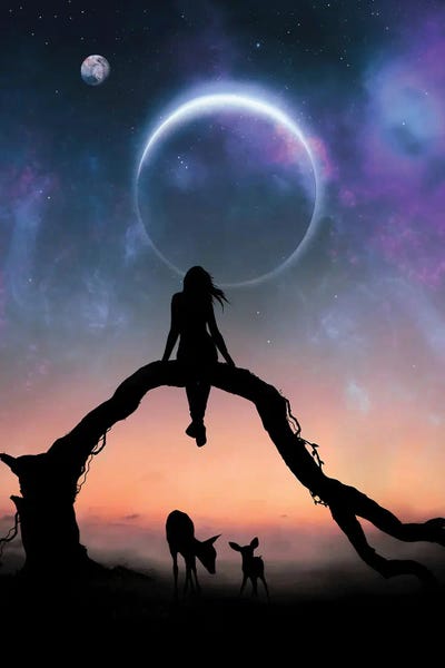 Space Fiction: Dream by Abdullah Evindar