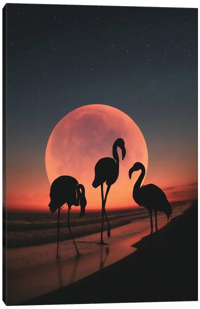 Flamingo II Canvas Art Print - Abdullah Evindar