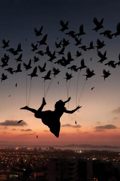 Dreamer: Flying Woman by Abdullah Evindar