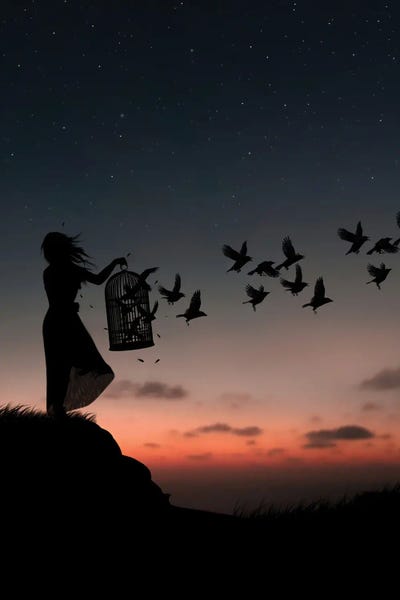 Photography: Free Birds by Abdullah Evindar