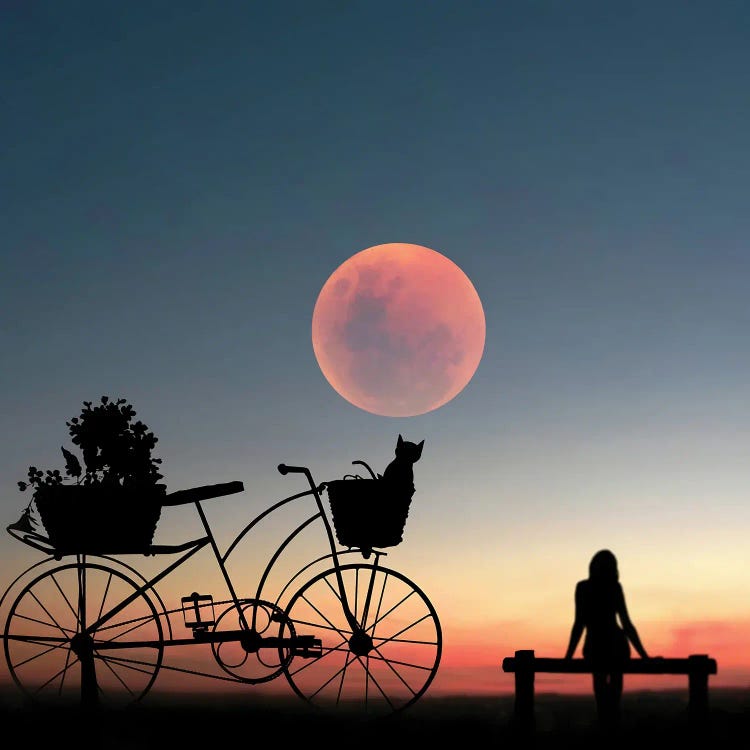 Girl On A Bicycle by Abdullah Evindar wall art