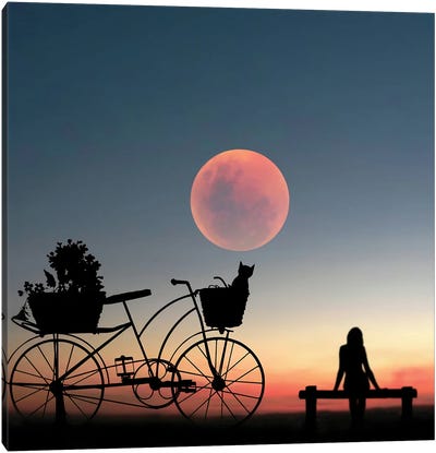 Girl On A Bicycle Canvas Art Print