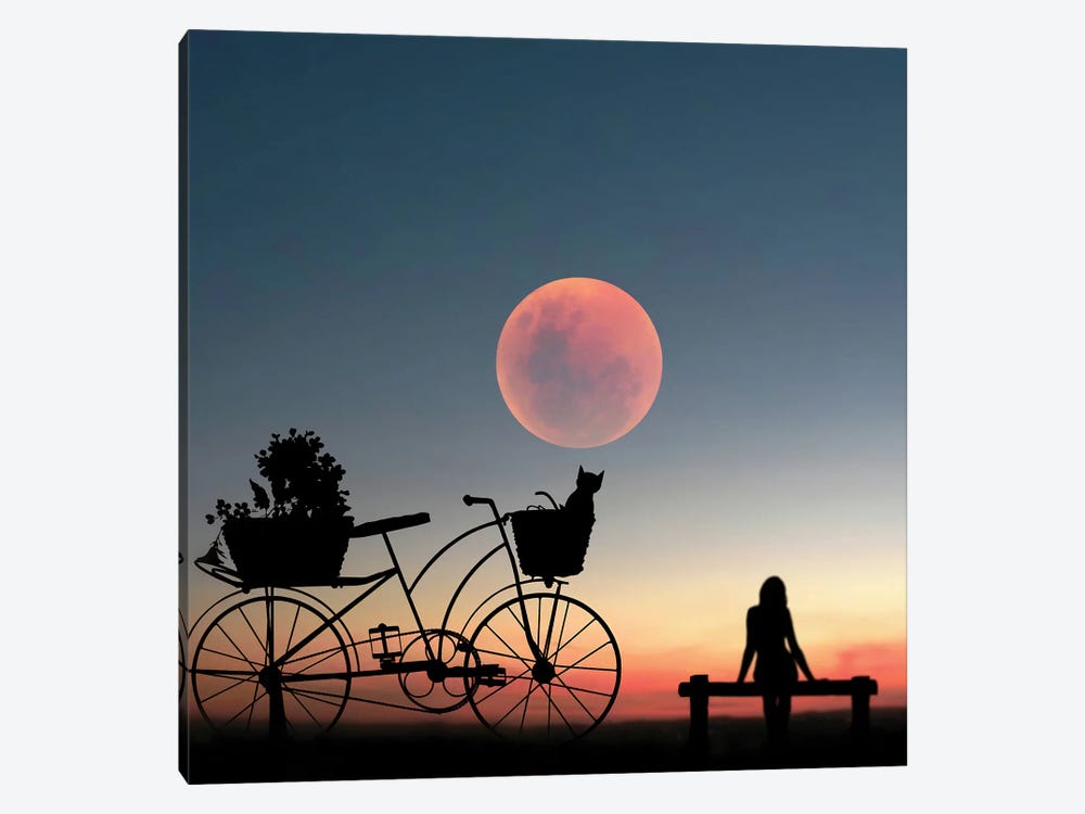 Girl On A Bicycle by Abdullah Evindar 1-piece Canvas Art