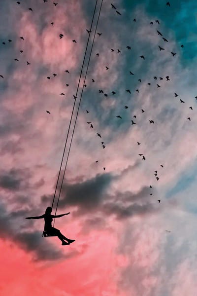 In The Sky by Abdullah Evindar framed wall art