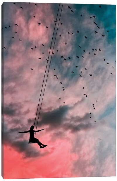 In The Sky Canvas Art Print - Free Falling