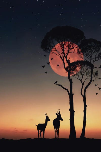 Composite Photography: Africa by Abdullah Evindar