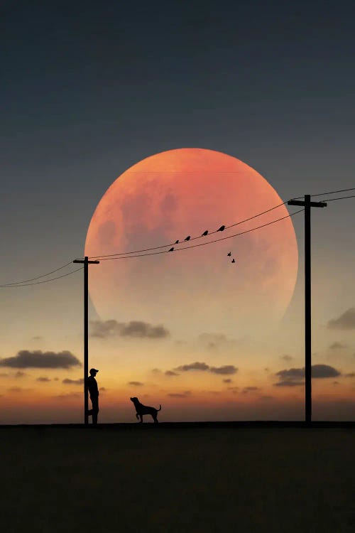 Man And Dog by Abdullah Evindar wall art