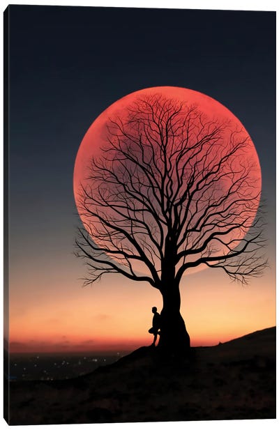 Moon And Man II Canvas Art Print - Composite Photography