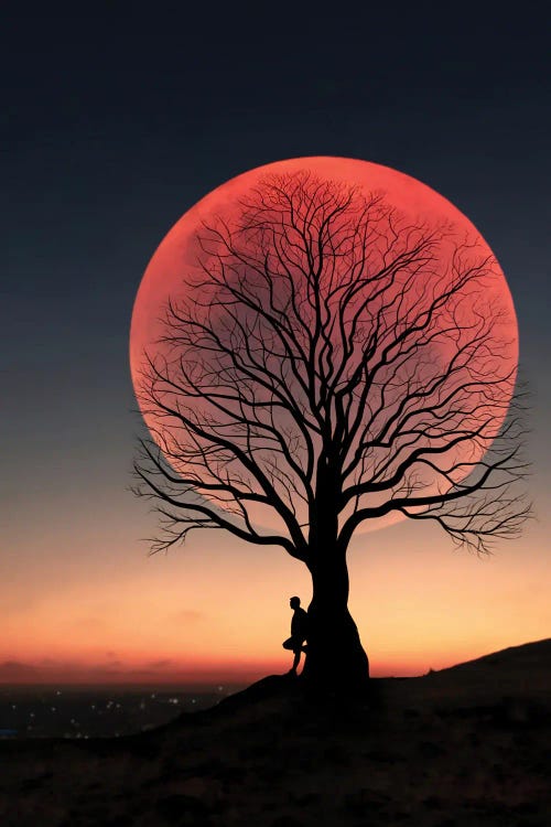 Moon And Man II by Abdullah Evindar wall art