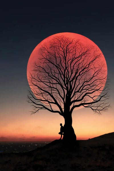 Silhouettes: Moon And Man II by Abdullah Evindar