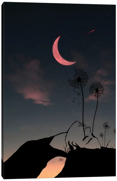 Night And Woman Canvas Art Print - Surreal Bodyscapes