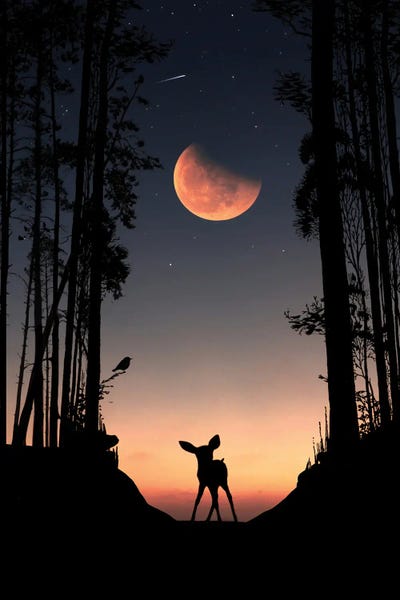 People: Puppies Gazelle by Abdullah Evindar