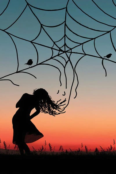 Spider Web by Abdullah Evindar acrylic art print