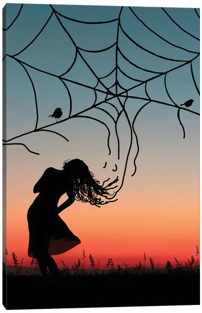 Spider Web Canvas Art Print - Abdullah Evindar