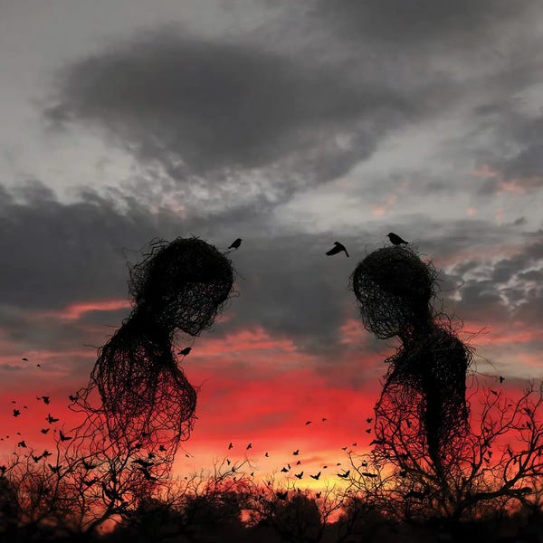 Abdullah Evindar: Sunset by Abdullah Evindar