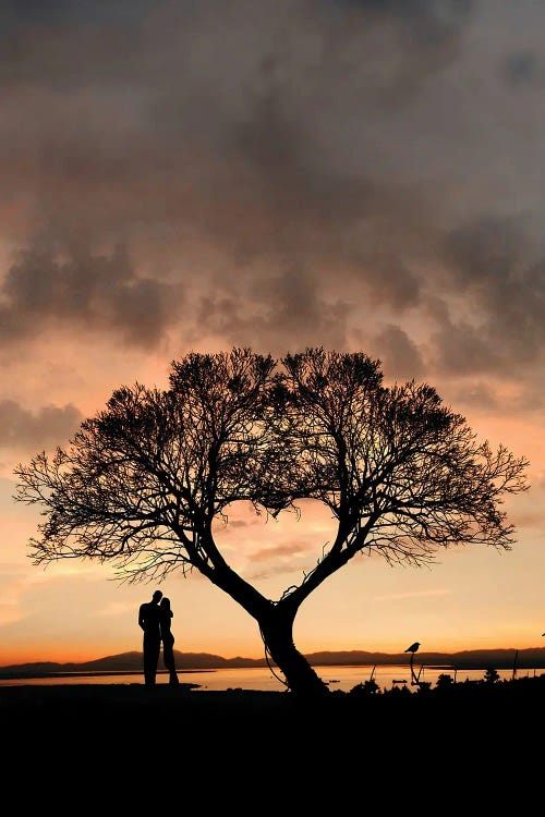 Tree And Heart