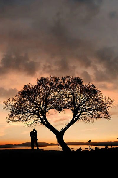 Hearts: Tree And Heart by Abdullah Evindar
