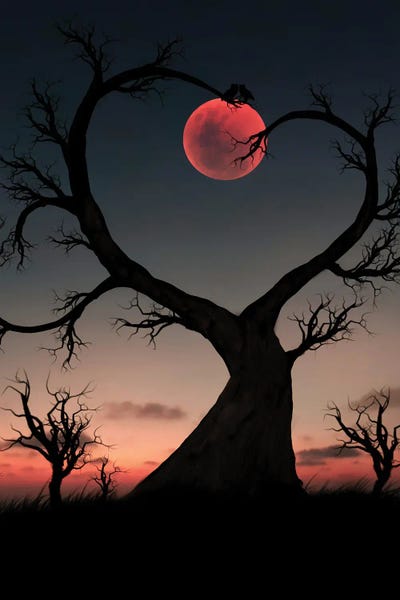 Hearts: Tree And Owl by Abdullah Evindar