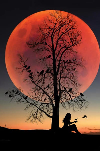 Silhouettes: Tree Birds by Abdullah Evindar