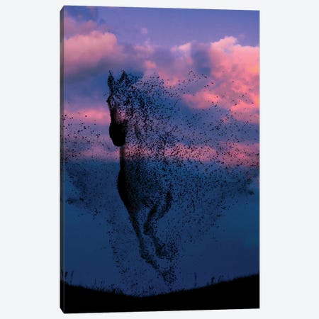 Wind And Horse Canvas Print #AEV53} by Abdullah Evindar Canvas Artwork