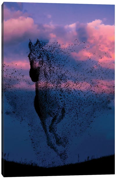 Wind And Horse Canvas Art Print - Abdullah Evindar