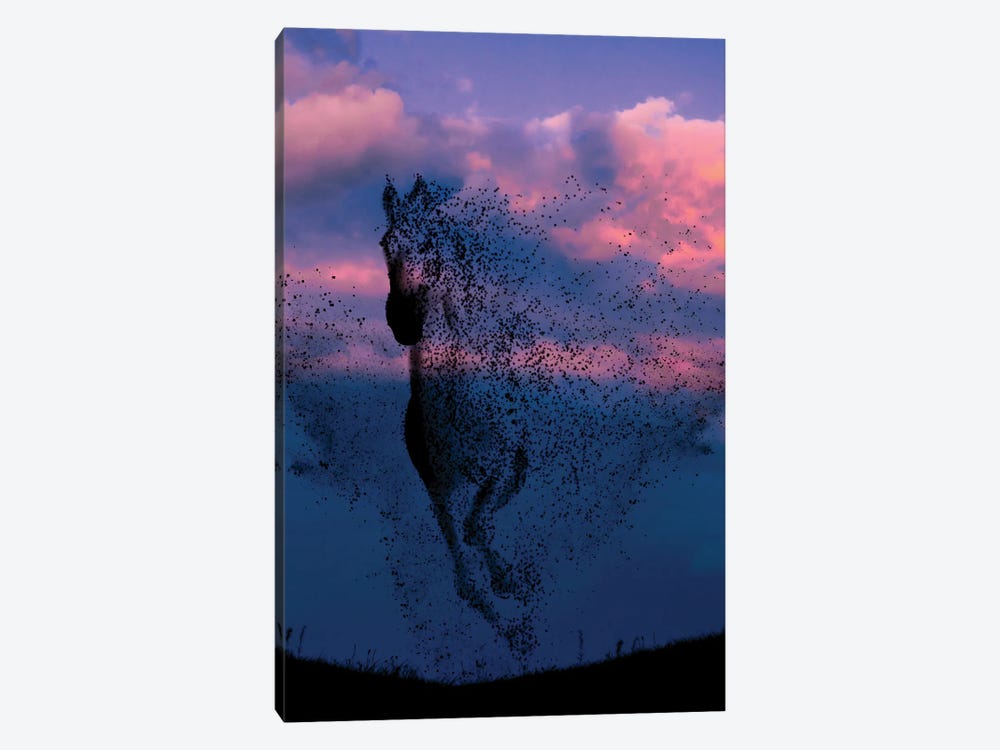 Wind And Horse by Abdullah Evindar 1-piece Canvas Art Print
