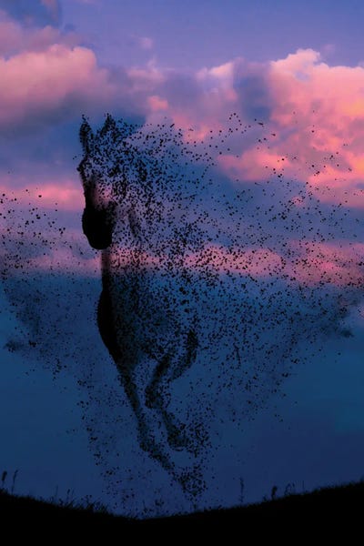 Abdullah Evindar: Wind And Horse by Abdullah Evindar