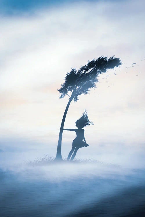 Wind by Abdullah Evindar wall art