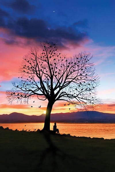 Abdullah Evindar: Birds And Tree by Abdullah Evindar