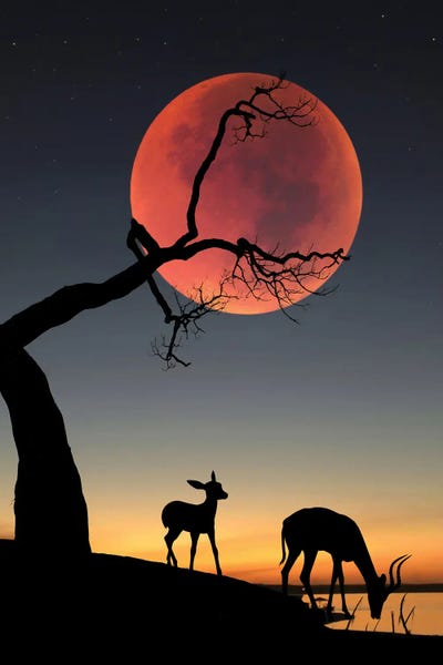 Blody Moon by Abdullah Evindar canvas print