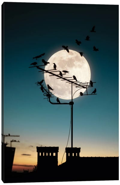 Moon And Birds Canvas Art Print - Birds On A Wire