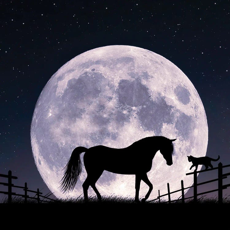 Horse And Moon