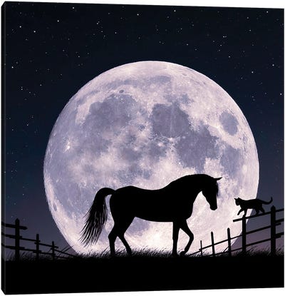 Horse And Moon Canvas Art Print - Abdullah Evindar