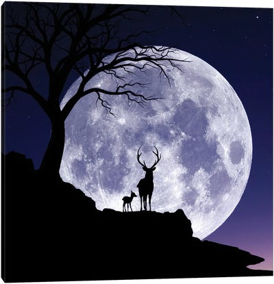 Moon And Gazelle Canvas Art Print