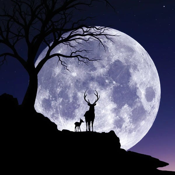 Abdullah Evindar: Moon And Gazelle by Abdullah Evindar