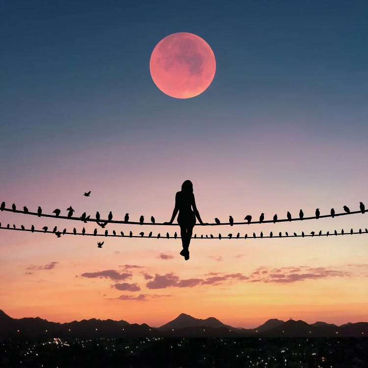Bird On The Wire by Abdullah Evindar wall art
